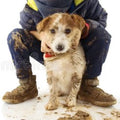 Best Rescue