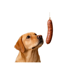 Sausage Game